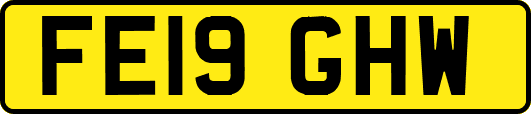 FE19GHW