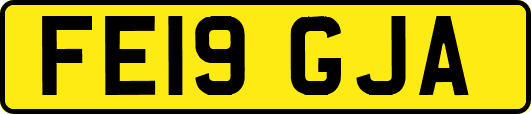 FE19GJA