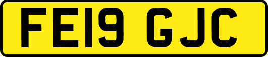 FE19GJC