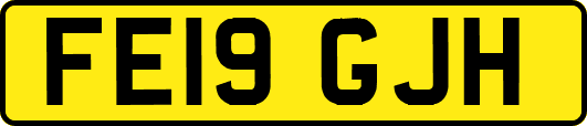FE19GJH