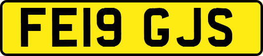 FE19GJS