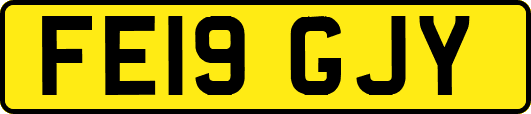 FE19GJY