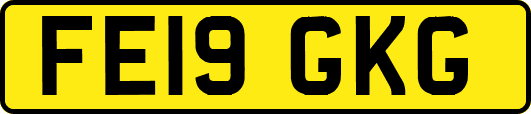 FE19GKG