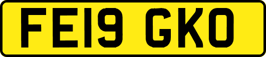 FE19GKO