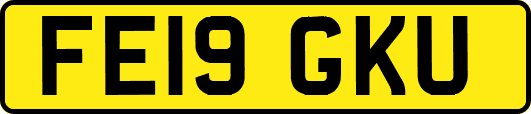 FE19GKU