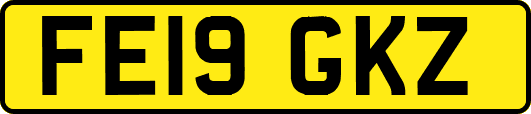FE19GKZ