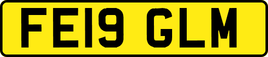 FE19GLM