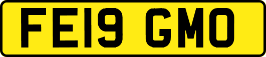 FE19GMO