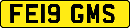 FE19GMS