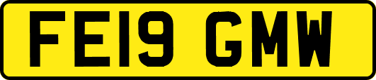FE19GMW