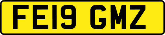 FE19GMZ