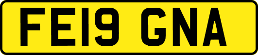 FE19GNA