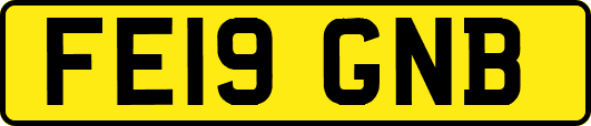 FE19GNB