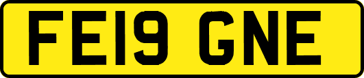 FE19GNE
