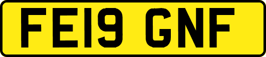 FE19GNF