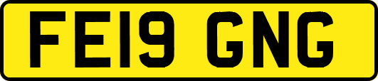 FE19GNG