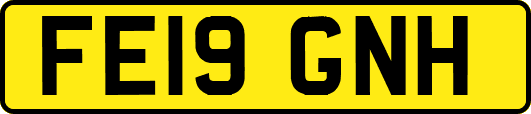 FE19GNH