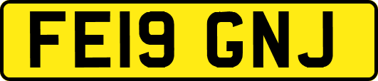 FE19GNJ