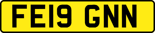 FE19GNN
