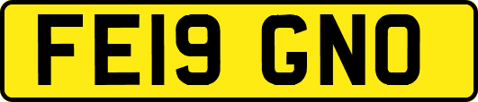 FE19GNO