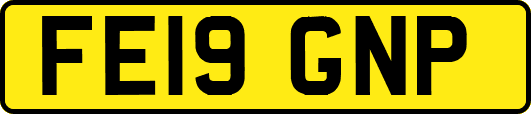 FE19GNP