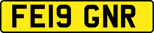 FE19GNR