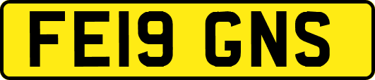 FE19GNS
