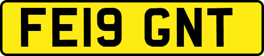 FE19GNT