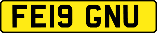 FE19GNU