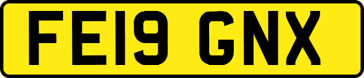 FE19GNX