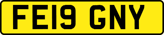FE19GNY