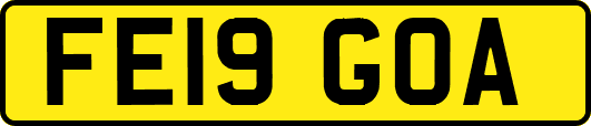 FE19GOA