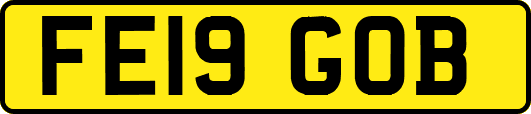 FE19GOB