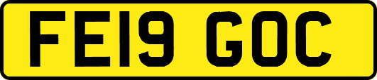 FE19GOC