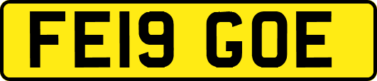 FE19GOE