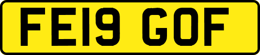 FE19GOF