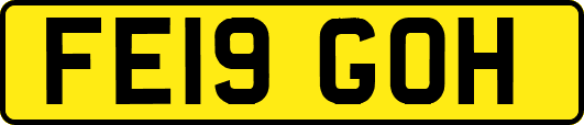 FE19GOH