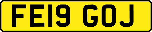 FE19GOJ