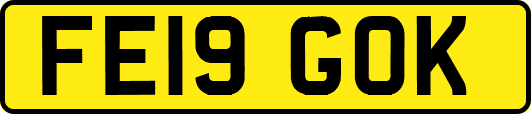FE19GOK