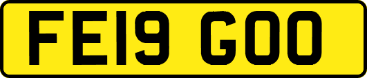 FE19GOO