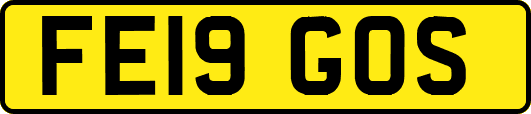 FE19GOS