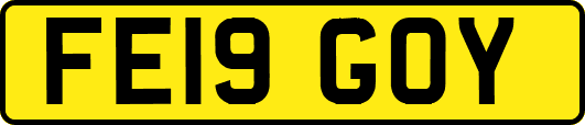 FE19GOY