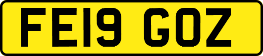 FE19GOZ