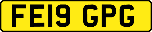 FE19GPG