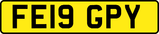 FE19GPY
