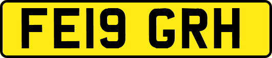 FE19GRH