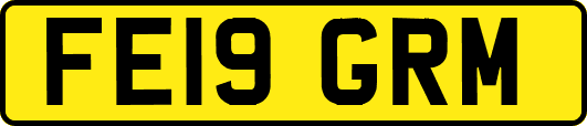 FE19GRM