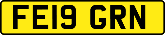 FE19GRN