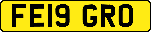 FE19GRO
