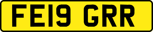 FE19GRR
